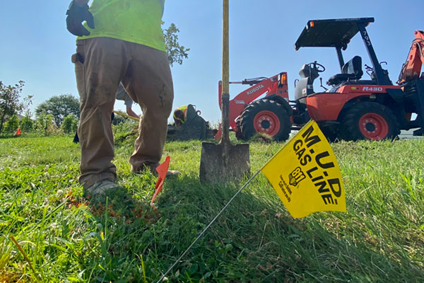 Projects in Your Neighborhood